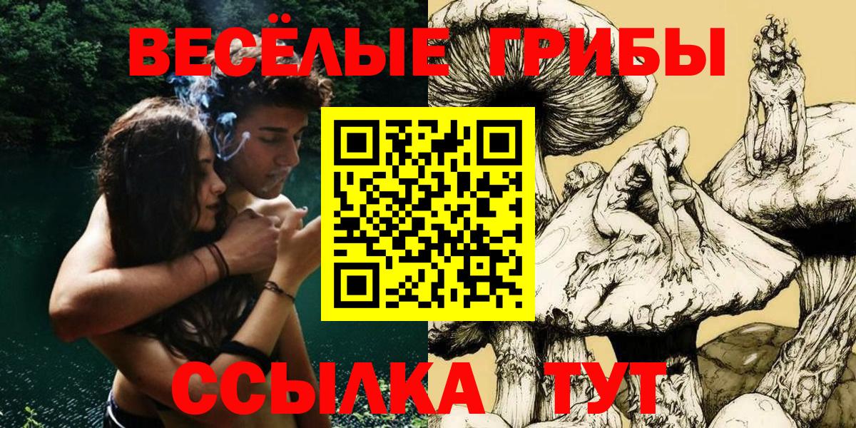 Псилоцибиновые грибы MAGIC MUSHROOMS  где купить   Галлюциногенные грибы прущие грибы  Куйбышев  Вход с VPN 